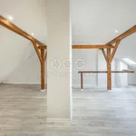 Rent 1 bedroom house of 170 m² in Praha