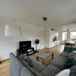 Rent 1 bedroom apartment in Hertsberge