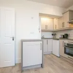 Rent 1 bedroom apartment in dublin