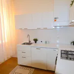 Rent 9 bedroom apartment in Modena