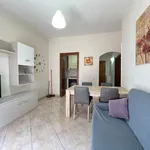 Rent 2 bedroom apartment of 50 m² in Roma