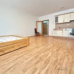 Rent 1 bedroom apartment of 36 m² in Brno