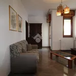 Rent 4 bedroom apartment of 100 m² in Brindisi