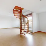 Rent 3 bedroom apartment of 85 m² in Basel