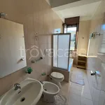 Rent 1 bedroom apartment of 40 m² in Busto Arsizio