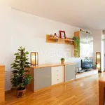 Rent 1 bedroom apartment of 84 m² in Palma di Montechiaro