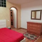 Rent 2 bedroom apartment of 65 m² in Ancona