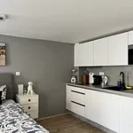 Pronajměte si 1 ložnic/e byt o rozloze 30 m² v Prague