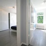 Rent 3 bedroom apartment of 70 m² in Den Haag