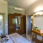 Rent 5 bedroom apartment in Cortona