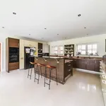 Rent 5 bedroom house in London