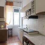 Rent a room in Roma