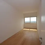 Rent 3 bedroom apartment of 80 m² in Padova