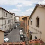 Rent 2 bedroom apartment of 55 m² in florence