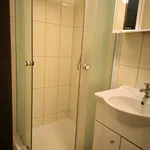 Rent 1 bedroom apartment in Děčín