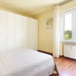 Rent 2 bedroom apartment in Florence