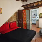 Rent 1 bedroom apartment of 35 m² in Firenze