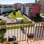 Pronajměte si 2 ložnic/e byt o rozloze 55 m² v Jihlava