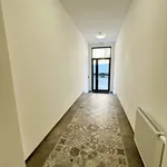 Pronajměte si 2 ložnic/e byt o rozloze 45 m² v Pilsen