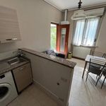 Rent 2 bedroom apartment of 40 m² in Novara