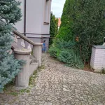 Rent 2 bedroom apartment of 34 m² in České Budějovice