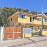 Rent 3 bedroom apartment of 60 m² in Anzio