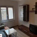 Rent 1 bedroom apartment of 29 m² in Gliwice