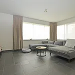 Rent 1 bedroom apartment in Hasselt