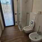 Rent 1 bedroom apartment of 25 m² in fucecchio