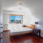 Alugar 1 quarto apartamento de 68 m² em Lagoa (Nossa Senhora do Rosário)