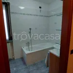 Rent 4 bedroom apartment of 110 m² in Voghera