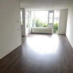 Rent 1 bedroom apartment in Munstergeleen