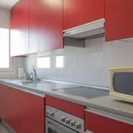 Rent 1 bedroom apartment of 65 m² in madrid