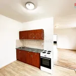 Rent 2 bedroom apartment in Pilsen