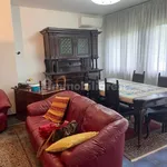 Rent 3 bedroom apartment of 120 m² in Padua