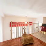 Rent 1 bedroom apartment in Florence