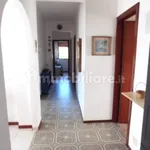 Rent 4 bedroom apartment of 105 m² in Ragusa