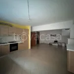 Rent 3 bedroom apartment of 91 m² in Santa Marinella