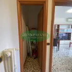 Rent 2 bedroom apartment of 63 m² in San Donato Milanese