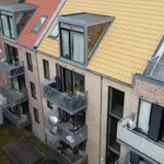 Rent 3 bedroom apartment of 72 m² in Aarhus