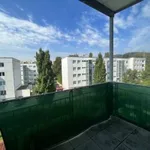 Rent 1 bedroom apartment of 55 m² in Linz