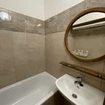 Rent 1 bedroom apartment in Havířov