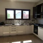 Rent 3 bedroom apartment of 120 m² in Concorezzo