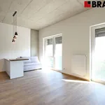 Rent 1 bedroom apartment of 35 m² in Brno