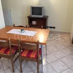 Rent 2 bedroom apartment of 55 m² in Pragelato