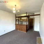 Rent 1 bedroom apartment of 33 m² in Tábor