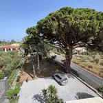 Rent 6 bedroom house of 320 m² in Messina