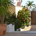 Rent 1 bedroom apartment of 35 m² in Cadiz']