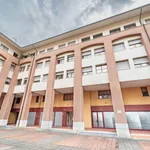 Rent 1 bedroom apartment in Bologna