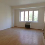 Pronajměte si 2 ložnic/e byt o rozloze 58 m² v Prague